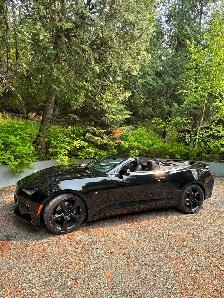 2018 Camero - Photo 3