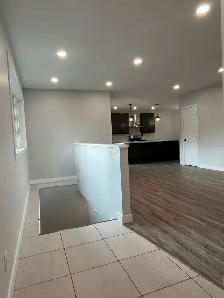 FULLY RENOVATED 5 BDRM 3 BATH FINISHED BASEMENT IN GIMLI - Photo 8