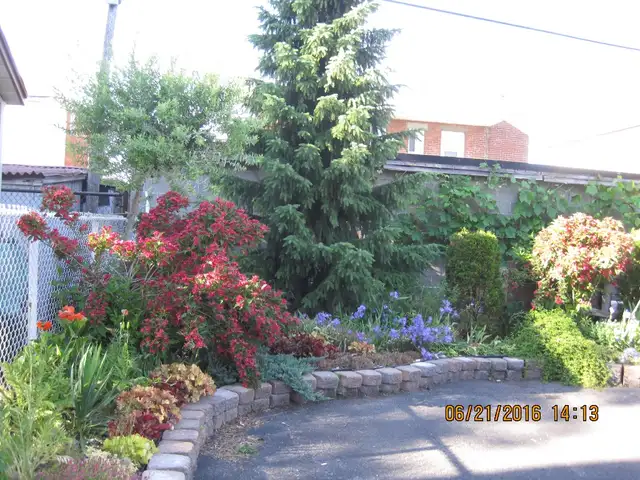 Nice rooms for student, professional short/long term!