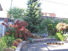 Nice rooms for student, professional short/long term!
