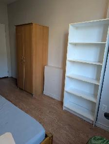 Bright ground fl room private washroom, parking @York University - Photo 3