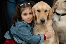 CKC Registered Purebred Golden Retrievers - Photo 7