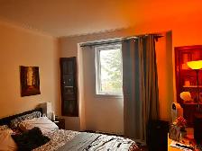 A room for rent - Photo 3