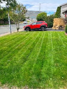 Lawn care - Photo 2