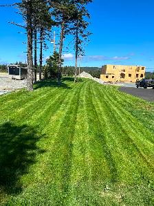 Lawn care - Photo 3