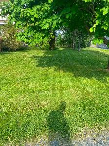 Lawn care - Photo 4