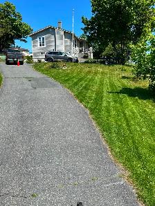 Lawn care - Photo 5