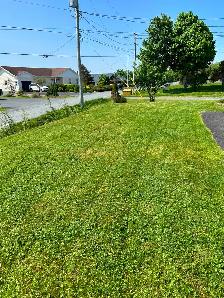 Lawn care - Photo 6