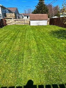 Lawn care - Photo 7