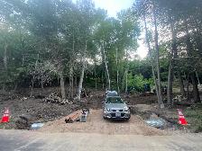 FREE CEDAR LOGS & BRANCHES - Photo 5