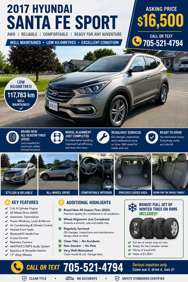 2017 Hyundai Santa Fe- 17