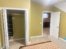 2 Bedroom Basement semi-furnished - Photo 3
