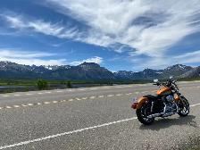 Harley Davidson