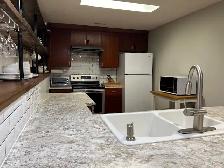 BEAUTIFUL FULLY FURNISHED 2 Bed 1 Full Bath Suite in North Delta - Photo 5