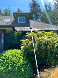 Exterior Window Cleaning — Sooke & Westshore | Water Fed Pole Sy - Photo 2