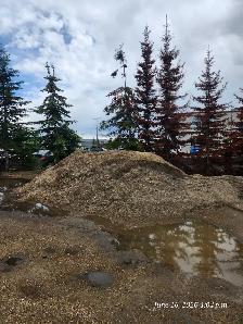 FREE FILL – LANDSCAPE MATERIAL / GRAVEL MIX - Photo 2