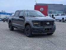 2024 Ford F-150 STX - Photo 6