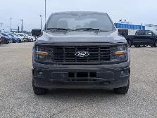 2024 Ford F-150 STX - Photo 7