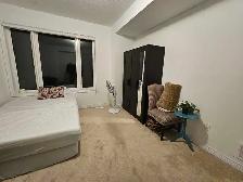 basement rental in port Whitby