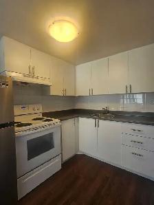 Studio Apt | Prime Location | Emera Oval Views | 2074 Robie St | - Photo 3
