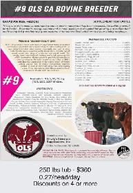 OLS Tubs - Photo 3