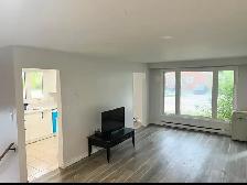 3 BEDROOM UNIT- MAIN FLOOR OF HOUSE