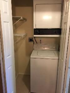Large 2 Bedroom Unit in Camrose - Photo 7