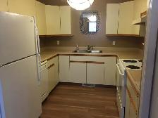 Large 2 Bedroom Unit in Camrose - Photo 8