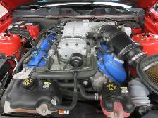 2012 FORD MUSTANG SHELBY COBRA GT500 SVT - Photo 17