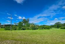 80 acres with house and farmyard in a peaceful setting - Photo 4