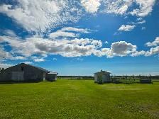 80 acres with house and farmyard in a peaceful setting - Photo 5
