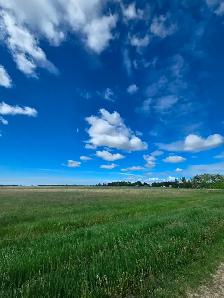 80 acres with house and farmyard in a peaceful setting - Photo 6