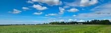 80 acres with house and farmyard in a peaceful setting - Photo 7