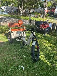 Ridex Passenger and Cargo e-bike - Photo 3