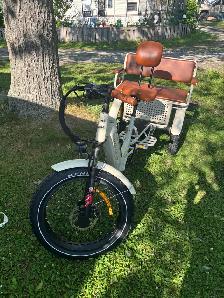 Ridex Passenger and Cargo e-bike - Photo 4