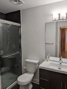 Luxury 2 Bedroom 2 Bath Townhouse Condo for Rent - 2 Parking! - Photo 7