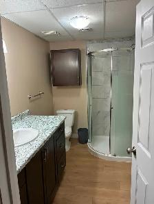 Two bedroom fully furnished basement suite in Anzac - Photo 4