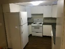 Beautiful 2 Bedroom Basement Suite - Photo 2