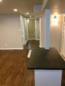 Beautiful 2 Bedroom Basement Suite - Photo 5