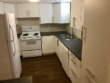 Beautiful 2 Bedroom Basement Suite - Photo 8
