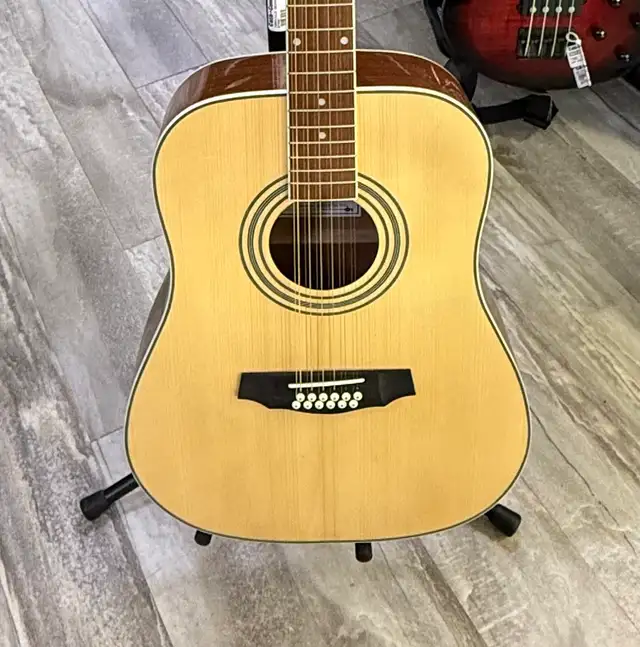 Denver 12 String Acoustic Guitar