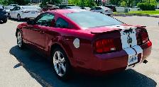 2009 Ford Mustang  – Premium Pack, V6, Aut Exceptional Condition - Photo 2