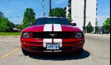 2009 Ford Mustang  – Premium Pack, V6, Aut Exceptional Condition - Photo 5