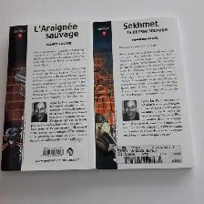 2LIVRES NEUFADO FRANCOIS GRAVEL L'ARAIGNÉ SAUVAGE LA DÉESSE$5.00 - Photo 2