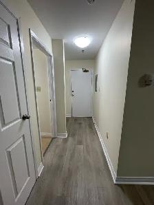 North End 1BR - Unit 207 - Near Hydrostone - July 15th - Photo 8