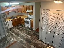 Abbeydale renovated whole house 4 bedroom $2150/m  ut - Photo 4