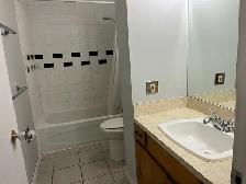 Abbeydale renovated whole house 4 bedroom $2150/m  ut - Photo 7