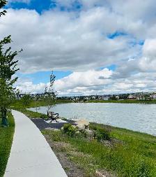 4 Beds 2.5 Baths - Townhouse - Photo 6