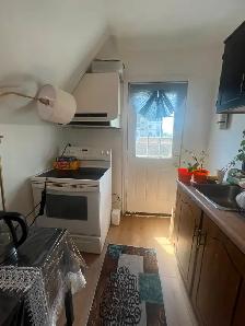 One Bedroom Apartment, Steps to Subway - Photo 4