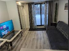 Private Furnished Apartment | Utilities & Parking | North York - Photo 3